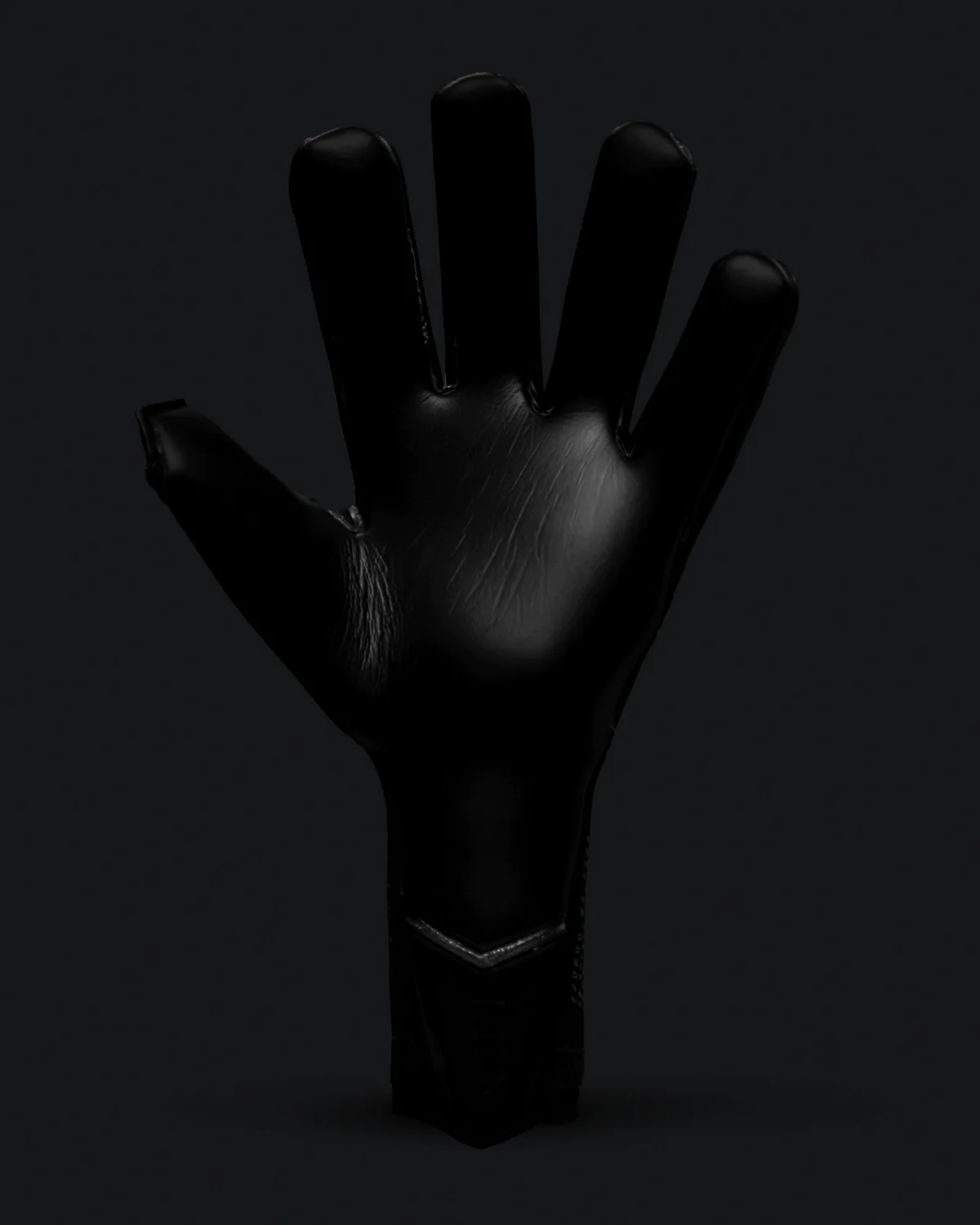 NitroLITE X R24 Goalkeeping Gloves